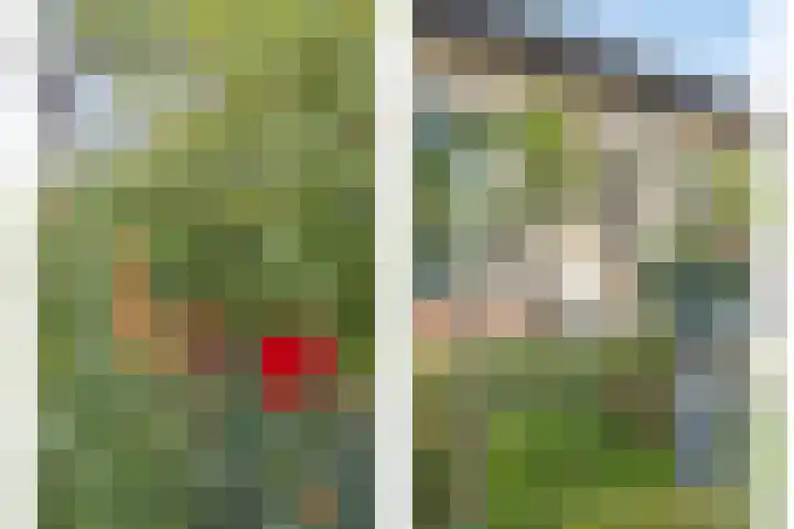 Hammarskjöldlaan 19 Middelburg thumbnail 30