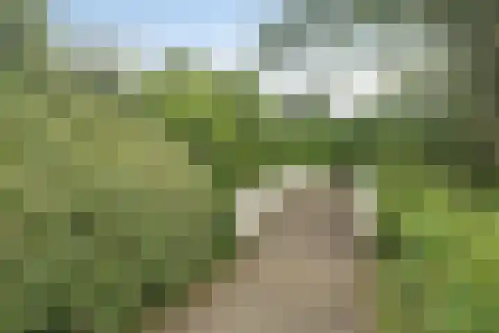 Hammarskjöldlaan 19 Middelburg thumbnail 31