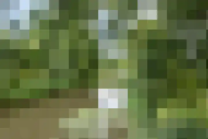 Hammarskjöldlaan 19 Middelburg thumbnail 32