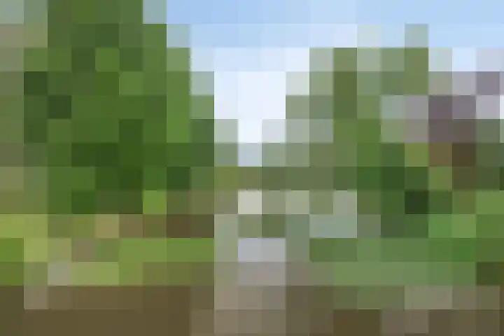 Hammarskjöldlaan 19 Middelburg thumbnail 33