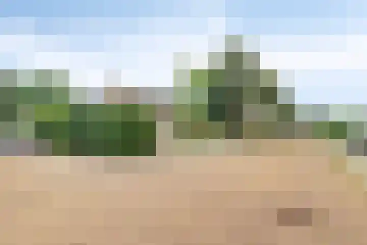 Hammarskjöldlaan 19 Middelburg thumbnail 4