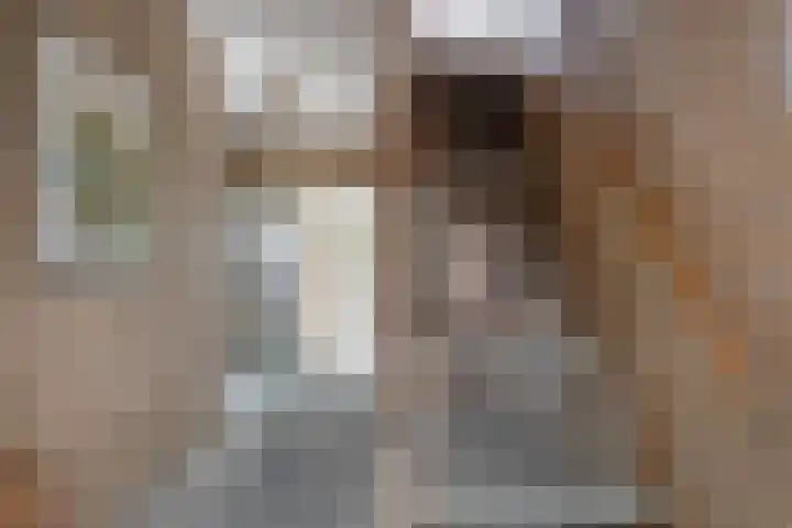 Hammarskjöldlaan 19 Middelburg thumbnail 5