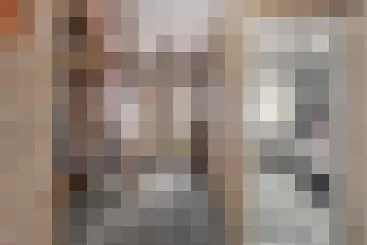 Hammarskjöldlaan 19 Middelburg thumbnail 6