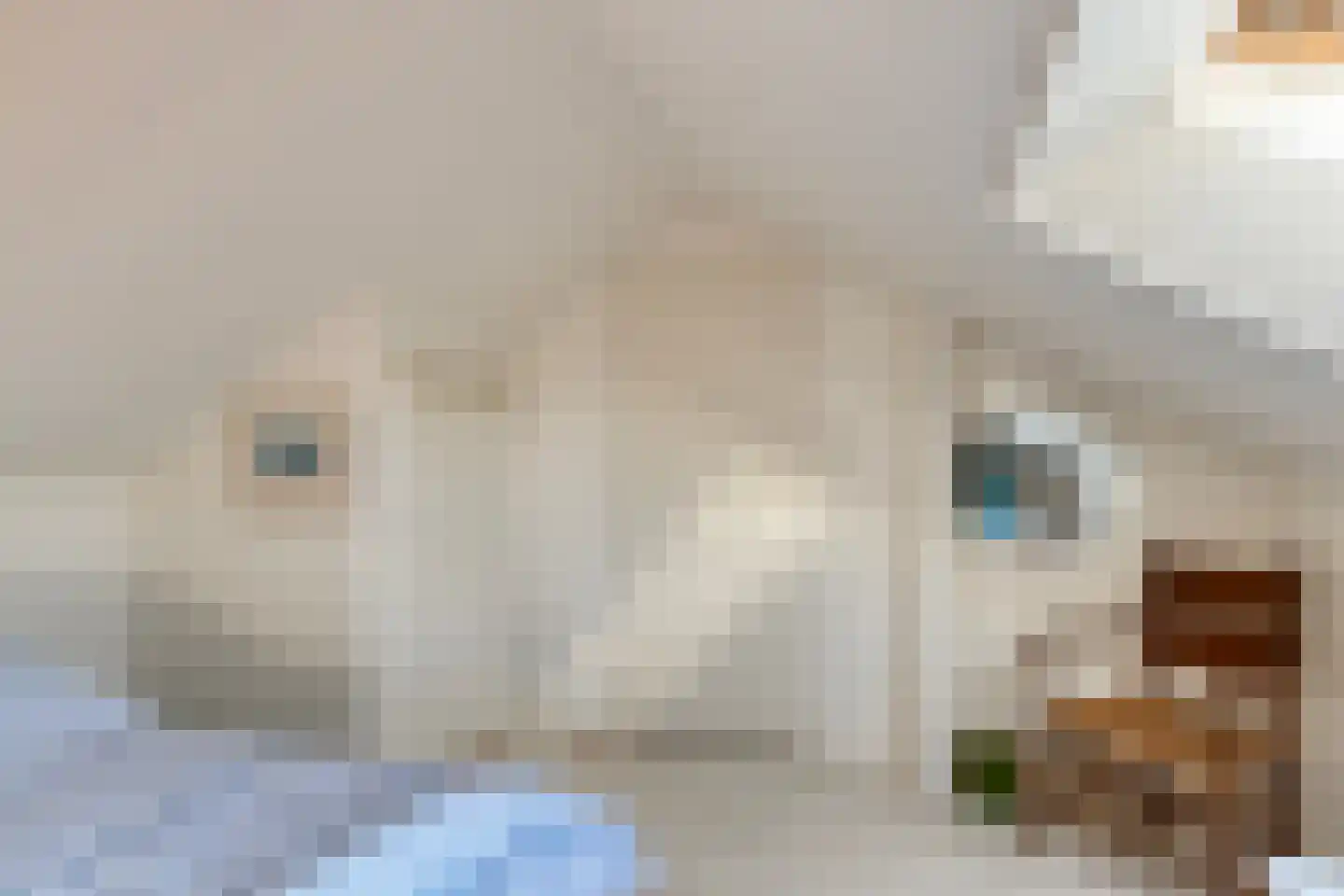 Hammarskjöldlaan 2 Middelburg thumbnail 24