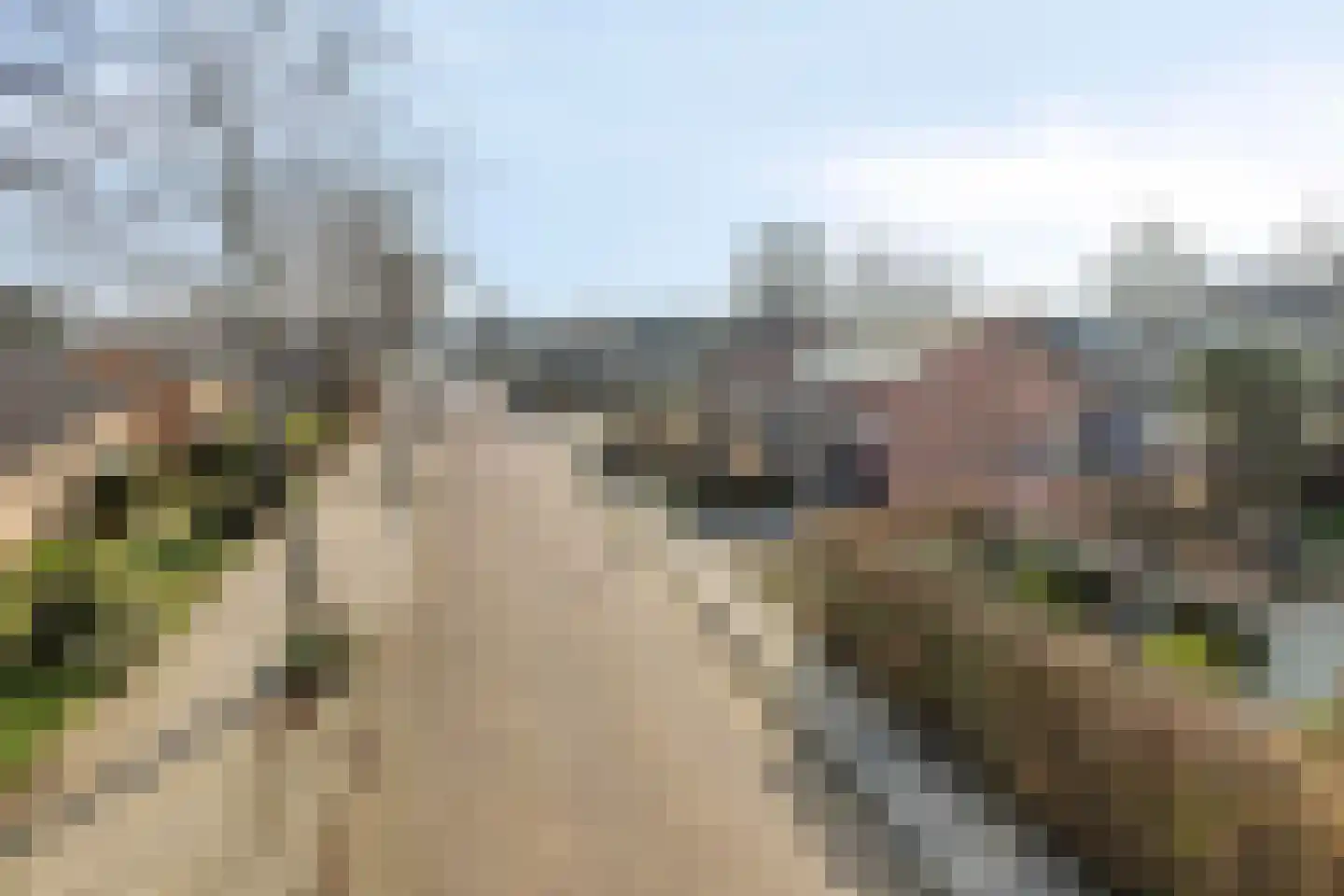 Hammarskjöldlaan 2 Middelburg thumbnail 42