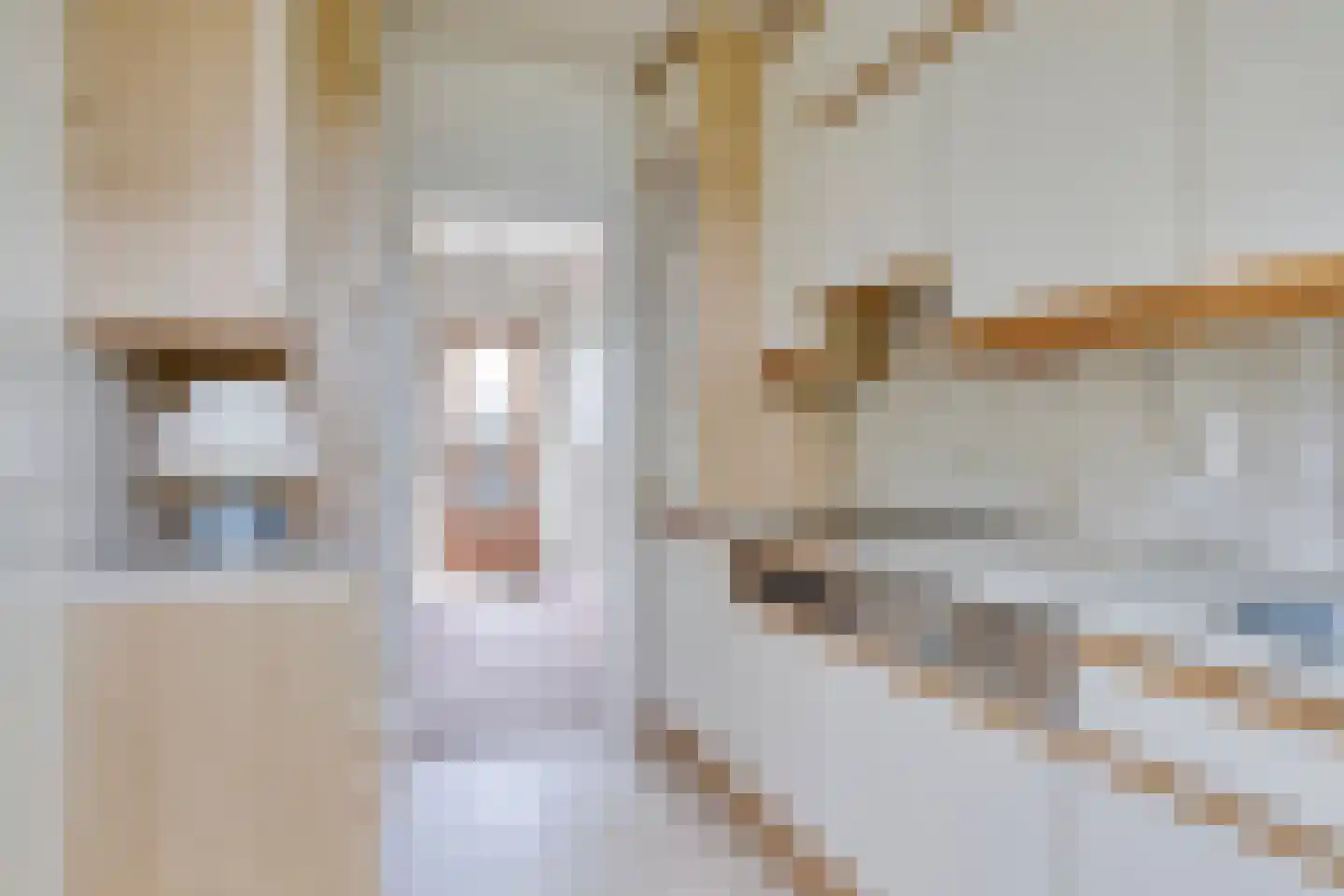 Hammarskjöldlaan 22 Middelburg thumbnail 13
