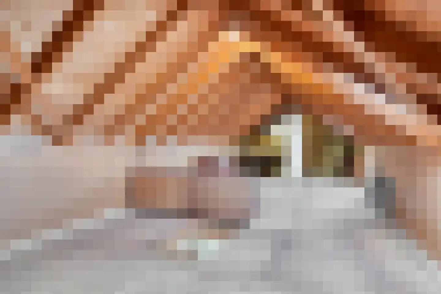 Hammarskjöldlaan 22 Middelburg thumbnail 26