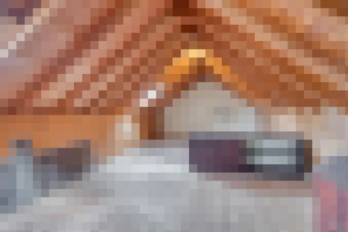 Hammarskjöldlaan 22 Middelburg thumbnail 27
