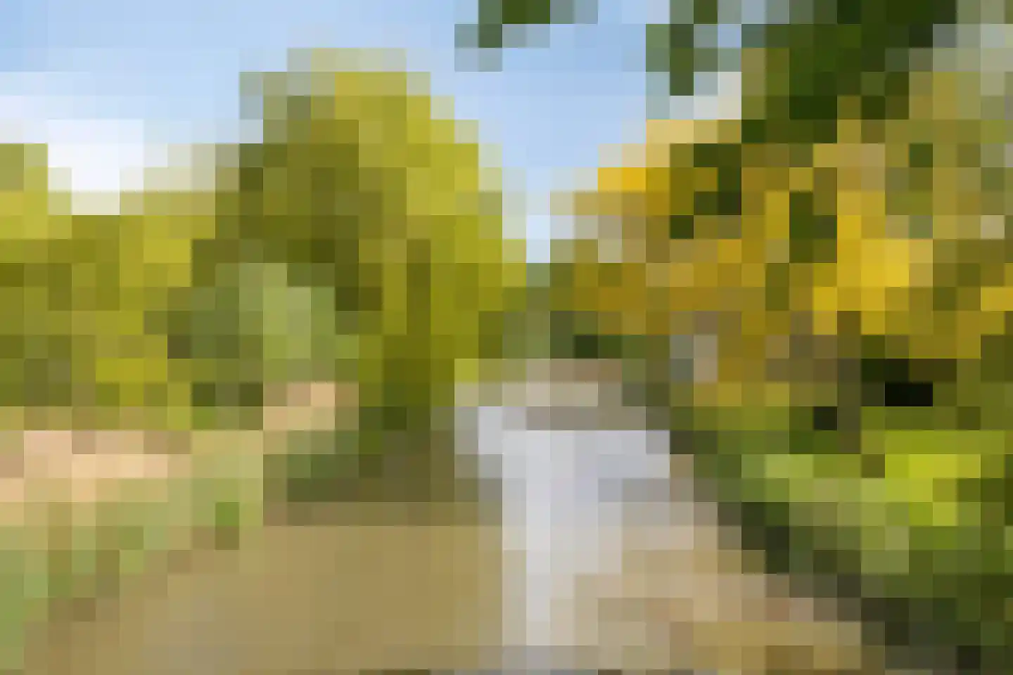 Hammarskjöldlaan 22 Middelburg thumbnail 45