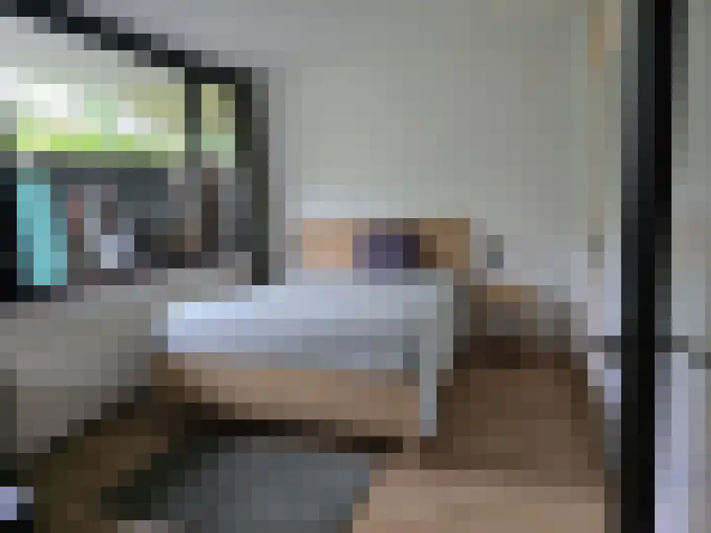 Hammarskjöldlaan 237 Rijswijk thumbnail 10