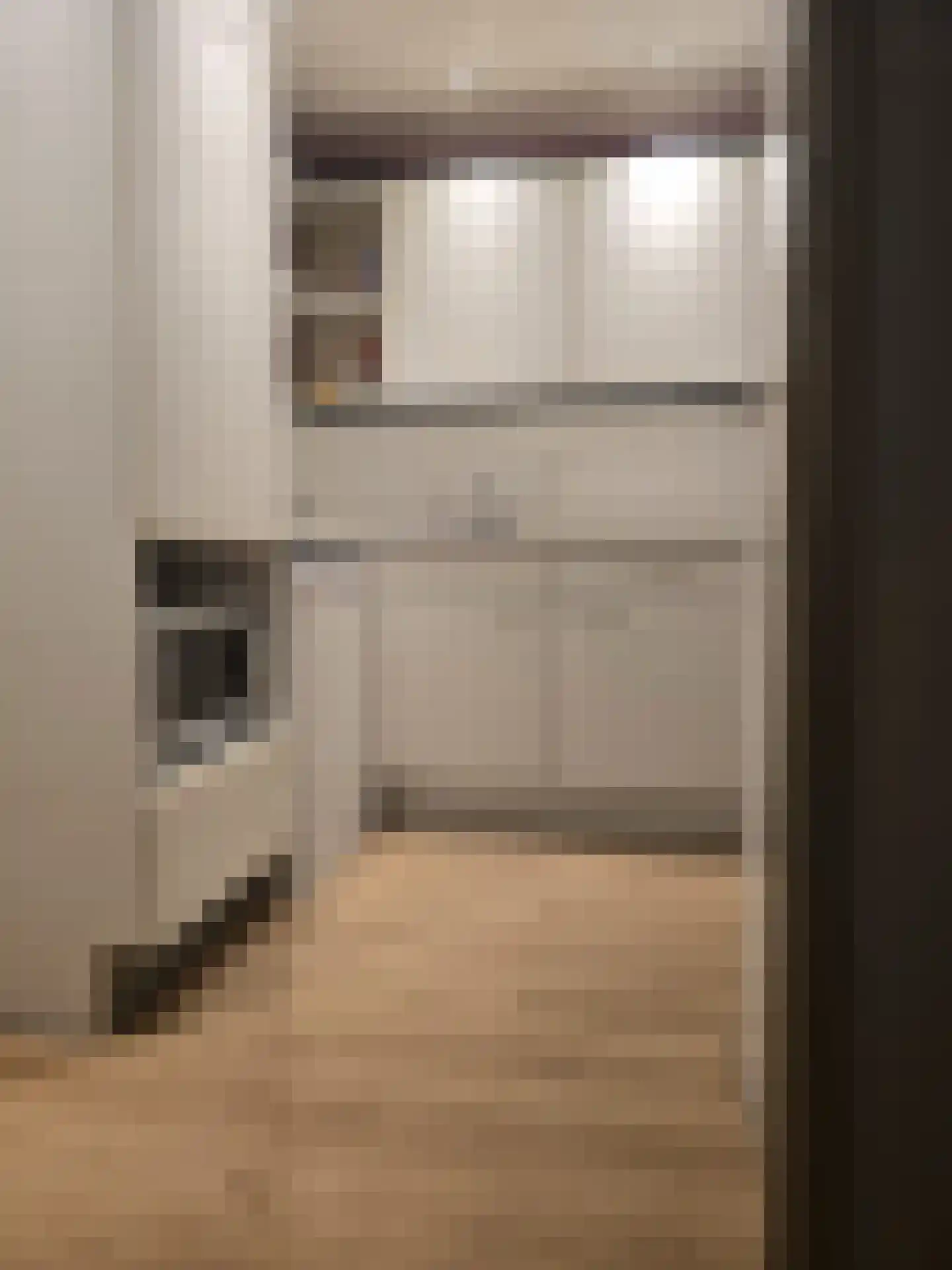 Hammarskjöldlaan 237 Rijswijk thumbnail 12