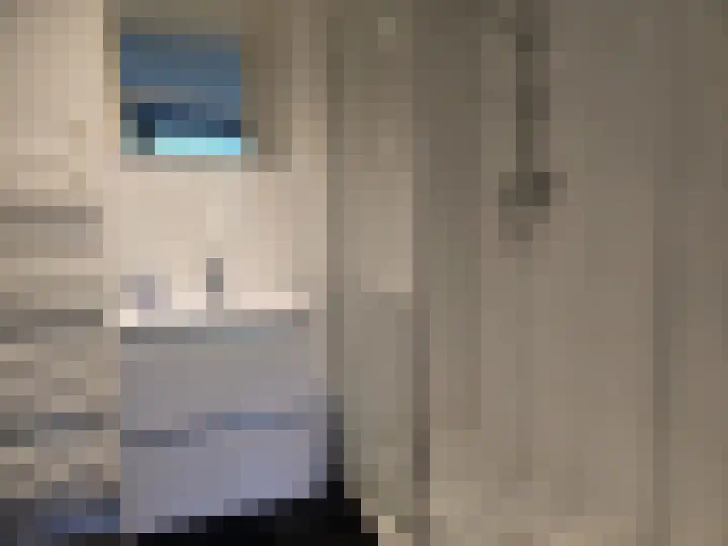 Hammarskjöldlaan 237 Rijswijk thumbnail 15