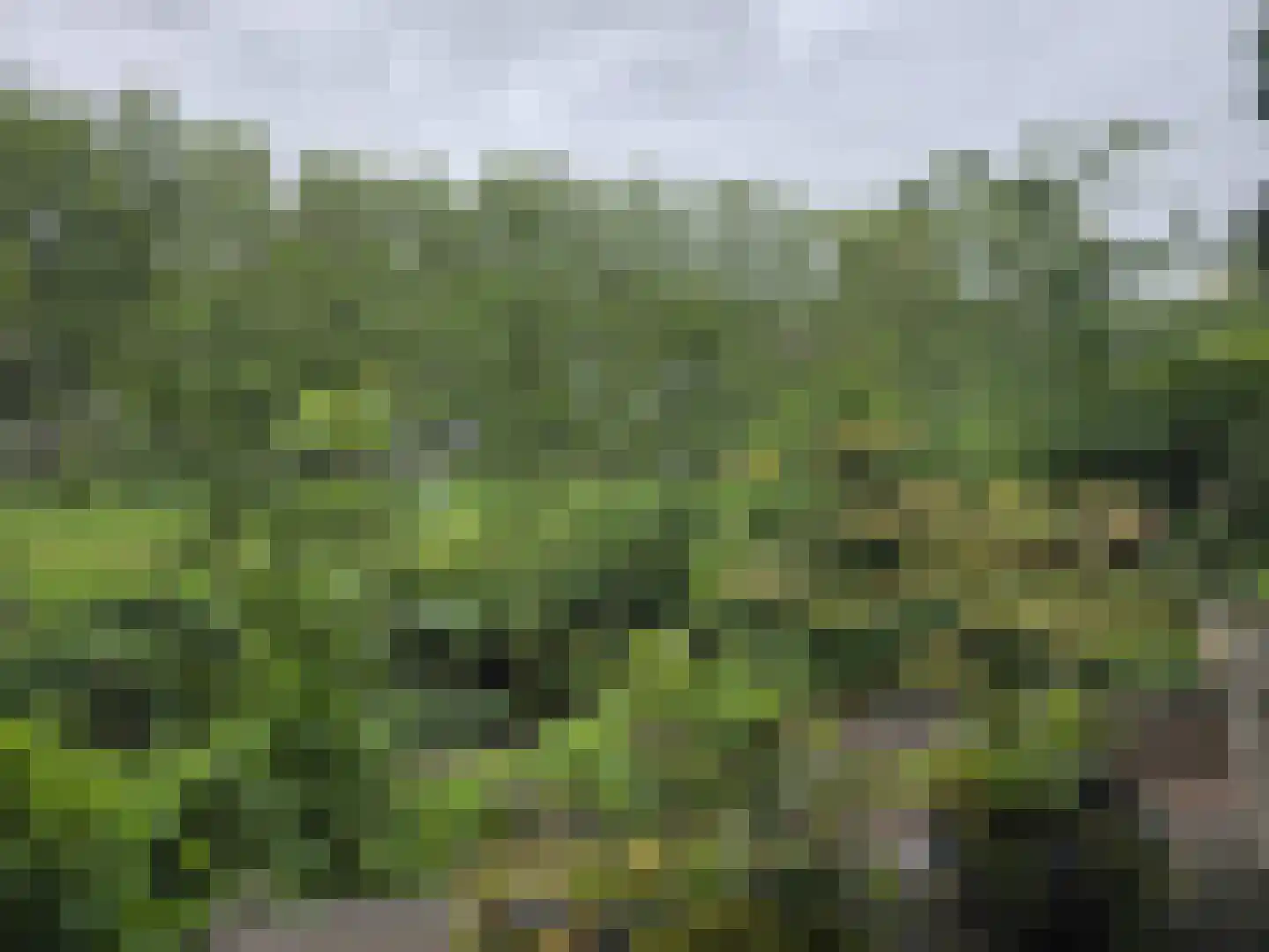 Hammarskjöldlaan 237 Rijswijk thumbnail 17