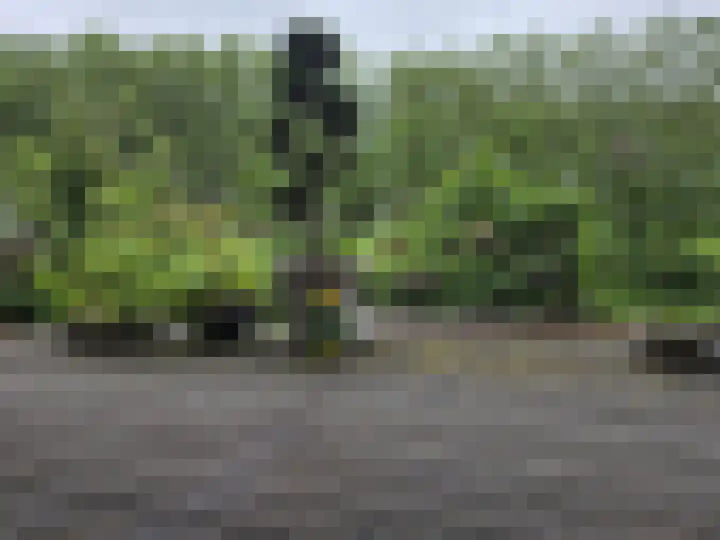 Hammarskjöldlaan 237 Rijswijk thumbnail 18
