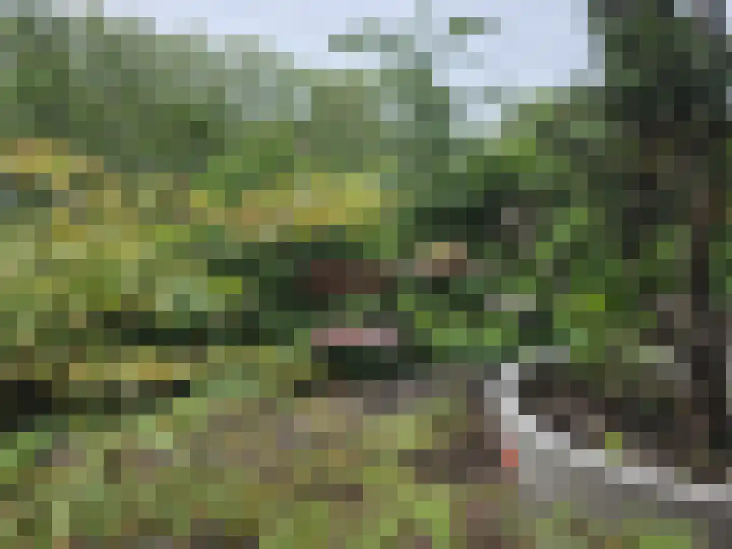 Hammarskjöldlaan 237 Rijswijk thumbnail 19