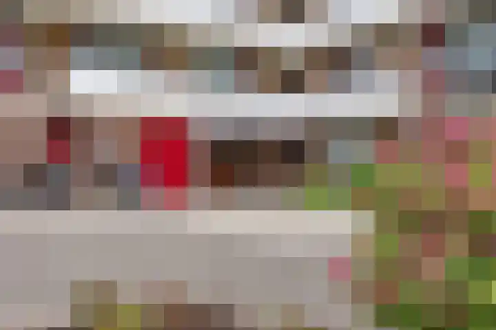 Hammarskjöldlaan 237 Rijswijk thumbnail 19