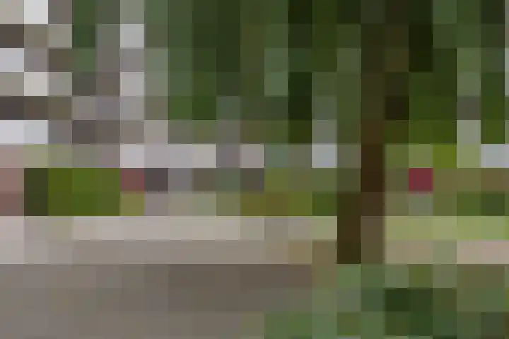Hammarskjöldlaan 237 Rijswijk thumbnail 21
