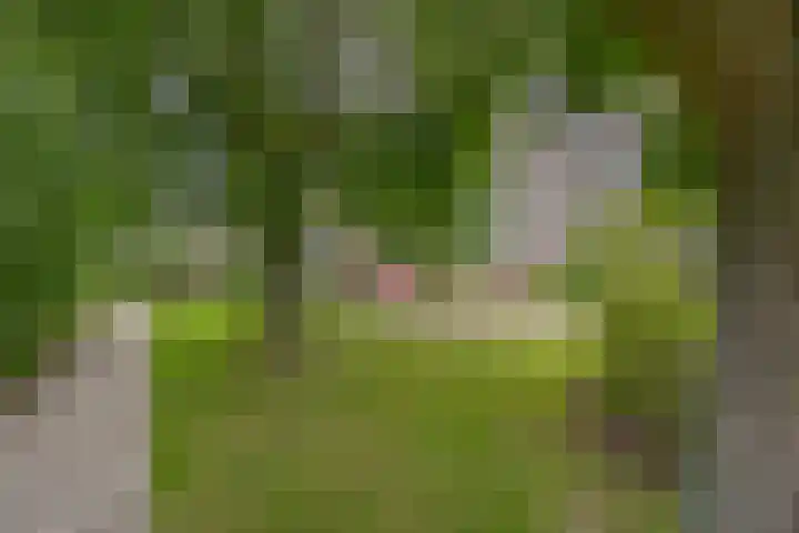 Hammarskjöldlaan 237 Rijswijk thumbnail 23
