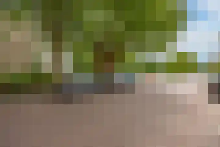 Hammarskjöldlaan 237 Rijswijk thumbnail 25