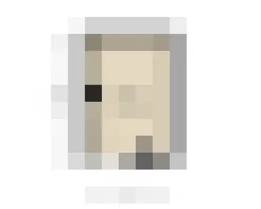 Hammarskjöldlaan 237 Rijswijk thumbnail 4