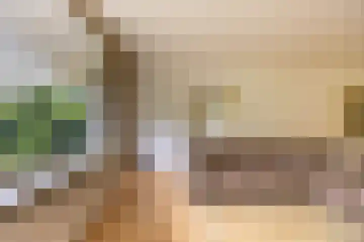Hammarskjöldlaan 237 Rijswijk thumbnail 5