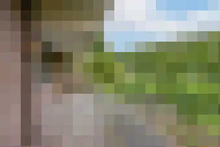 Hammarskjöldlaan 237 Rijswijk thumbnail 6