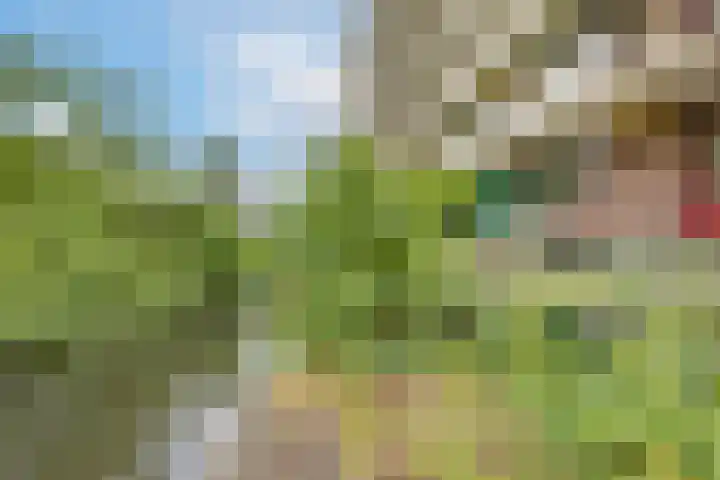 Hammarskjöldlaan 237 Rijswijk thumbnail 8