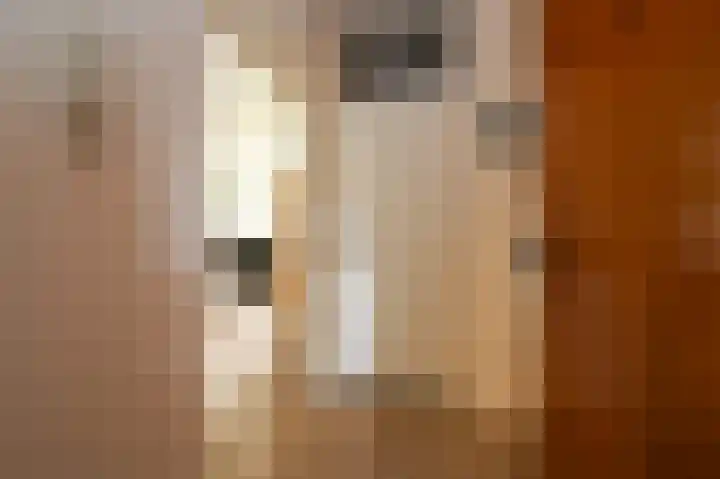Hammarskjöldlaan 245 Rijswijk thumbnail 11