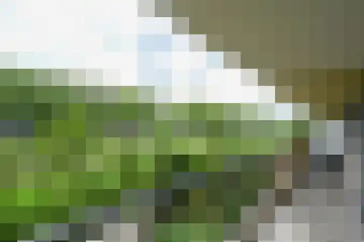 Hammarskjöldlaan 245 Rijswijk thumbnail 19