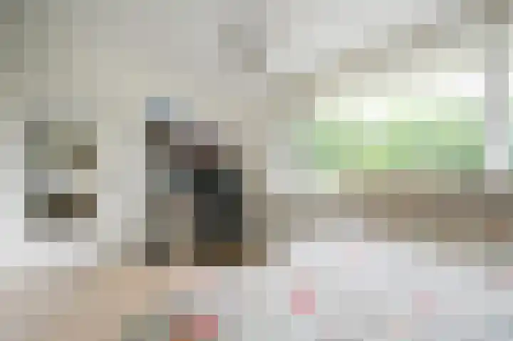 Hammarskjöldlaan 245 Rijswijk thumbnail 22