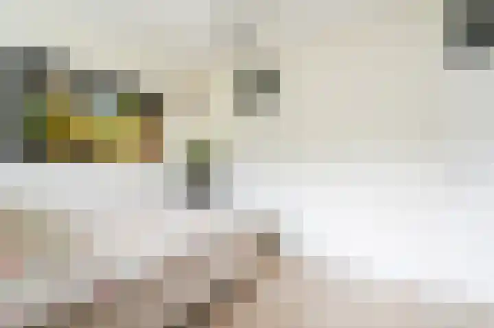 Hammarskjöldlaan 245 Rijswijk thumbnail 23