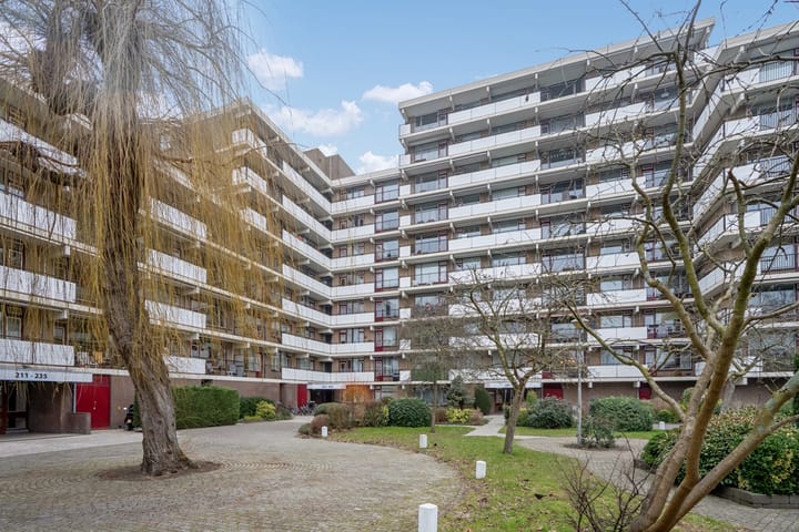 Hammarskjöldlaan 293 dans Rijswijk photo