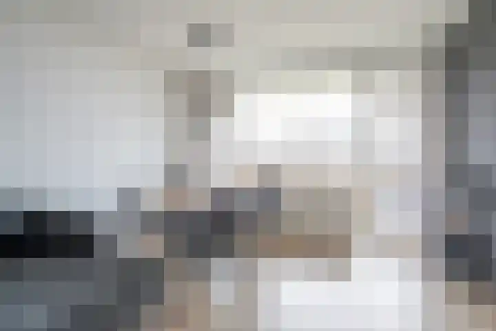 Hammarskjöldlaan 293 Rijswijk thumbnail 10
