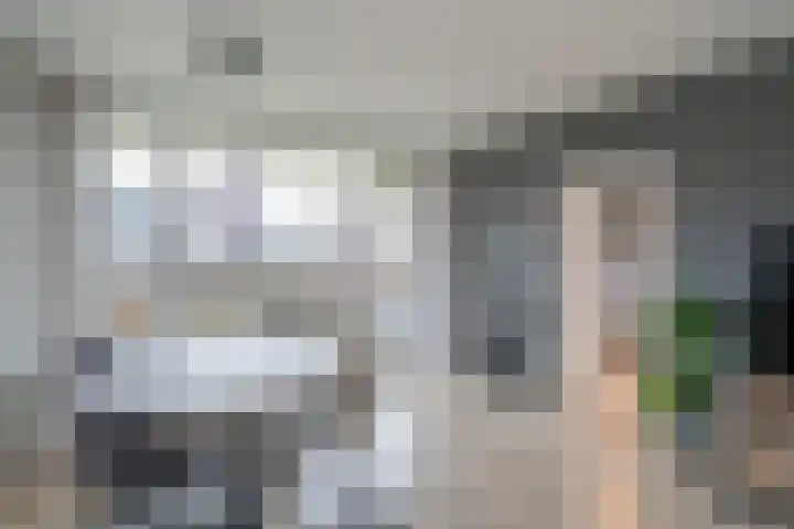 Hammarskjöldlaan 293 Rijswijk thumbnail 11