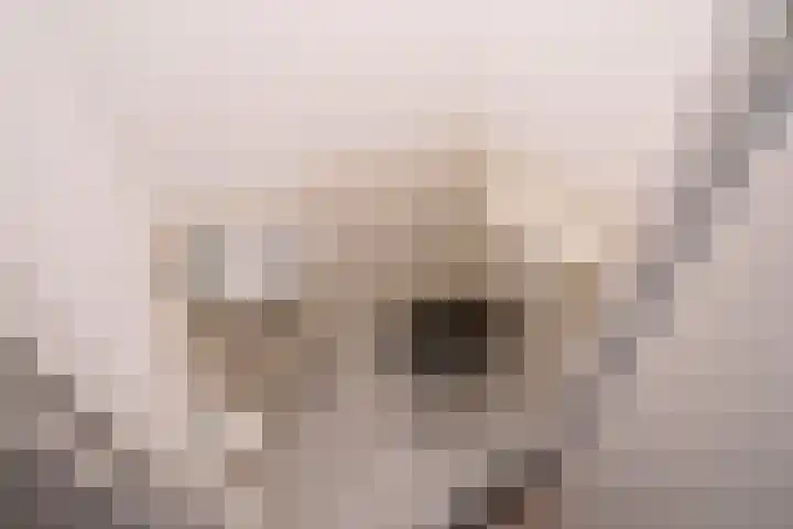 Hammarskjöldlaan 293 Rijswijk thumbnail 24