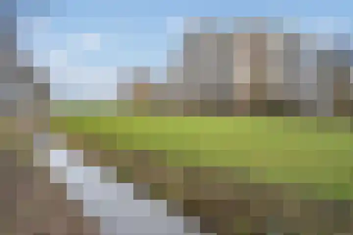 Hammarskjöldlaan 293 Rijswijk thumbnail 25