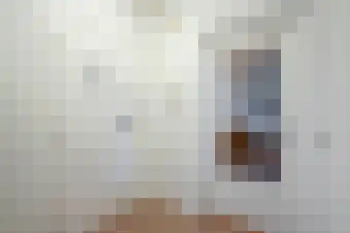 Hammarskjöldlaan 293 Rijswijk thumbnail 6
