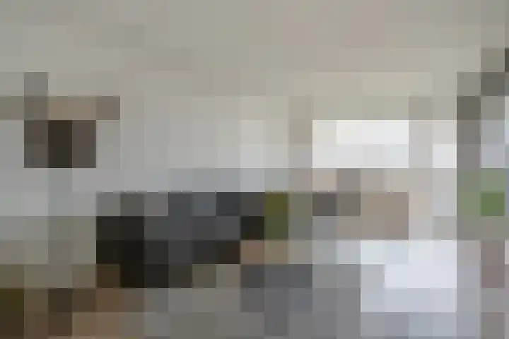 Hammarskjöldlaan 293 Rijswijk thumbnail 7