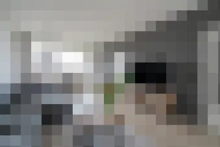 Hammarskjöldlaan 293 Rijswijk thumbnail 8