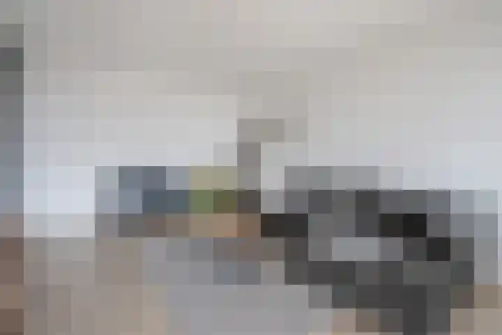 Hammarskjöldlaan 293 Rijswijk thumbnail 9