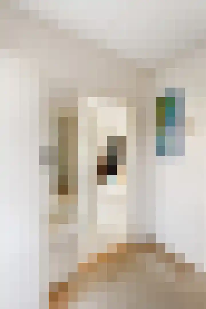 Hammarskjöldlaan 3 Middelburg thumbnail 10