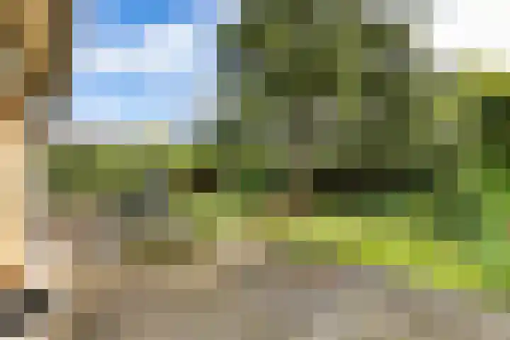 Hammarskjöldlaan 3 Middelburg thumbnail 15