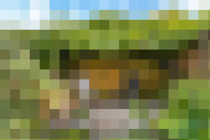 Hammarskjöldlaan 3 Middelburg thumbnail 17