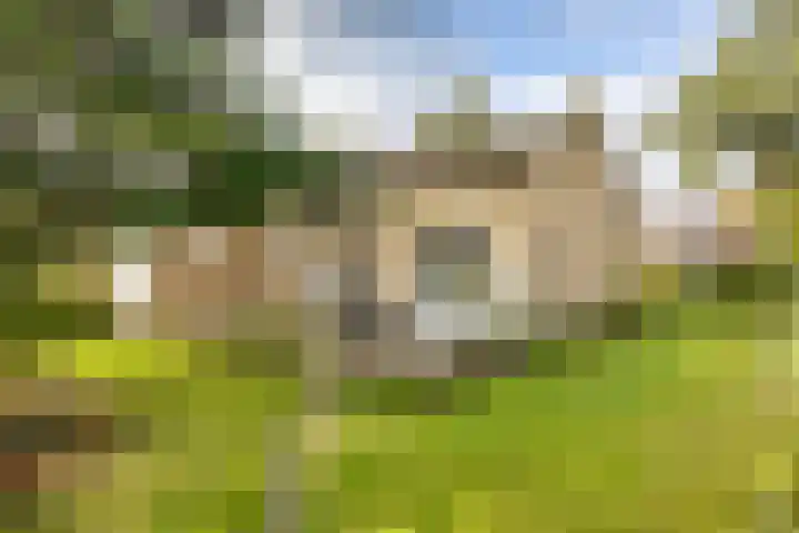 Hammarskjöldlaan 3 Middelburg thumbnail 18