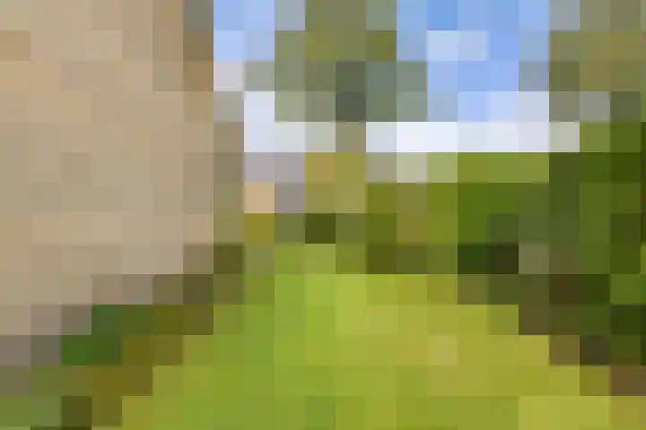 Hammarskjöldlaan 3 Middelburg thumbnail 19