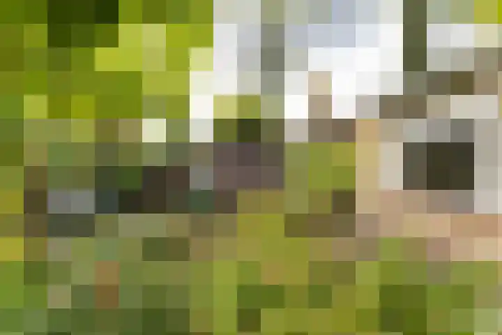 Hammarskjöldlaan 3 Middelburg thumbnail 20
