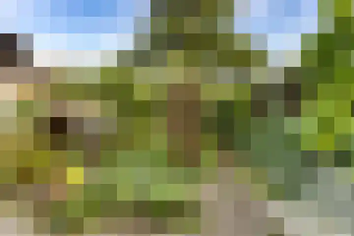 Hammarskjöldlaan 3 Middelburg thumbnail 21