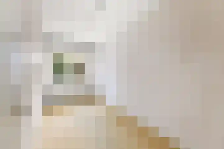Hammarskjöldlaan 3 Middelburg thumbnail 22