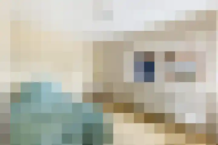 Hammarskjöldlaan 3 Middelburg thumbnail 23