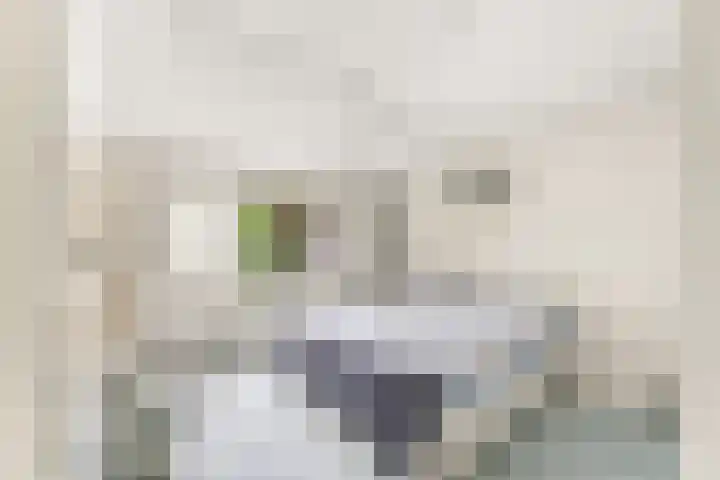 Hammarskjöldlaan 3 Middelburg thumbnail 24